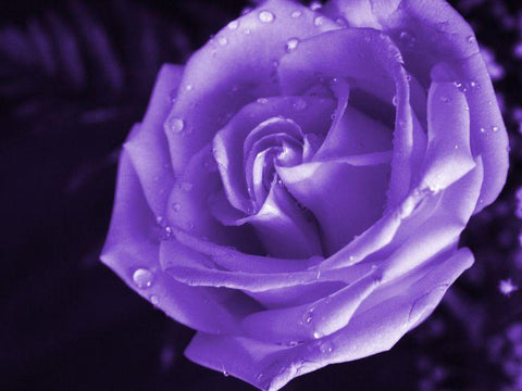slideshow